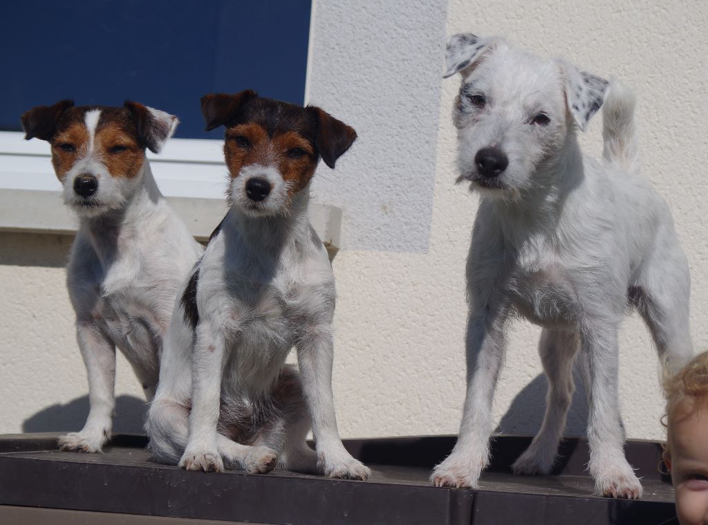 LA TROUPE AU COMPLET 